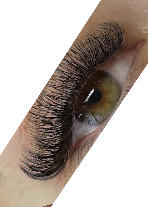 Light volume lashes